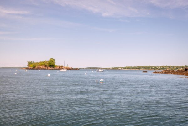 A view of a little island in Casco Bay, courtesy of the Allagash Brewing Team